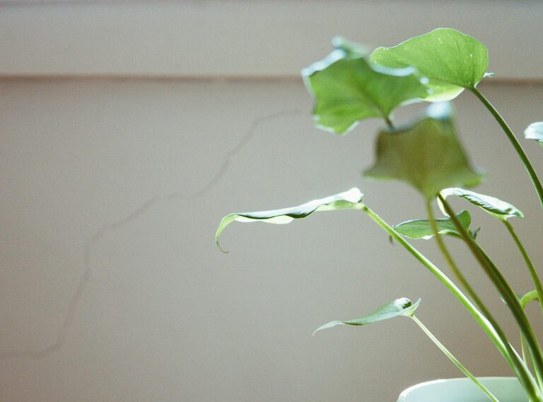 Simple Ways to Reduce Noise at Home for a Quieter Living Space